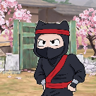 Ninja kira