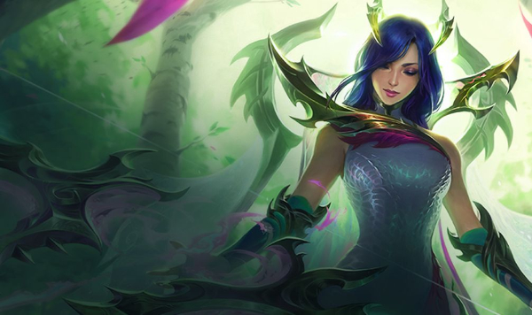 Các đặc điểm của Ashe