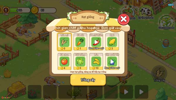 Mua hạt giống và trồng cây