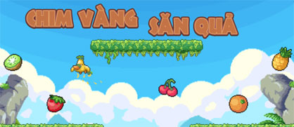 Chim vàng săn quả
