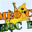 Mèo con học bay