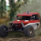Lái xe Buggy