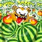 Gấu Bobby đói bụng