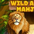 Mahjong châu Phi